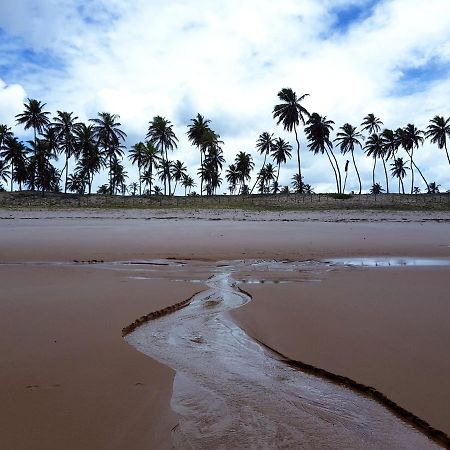 Rosagash Paradise - Praia De Santo Antonio Apartamento Matta de São João Exterior foto